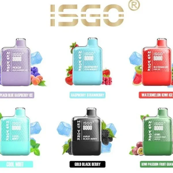 ISGO New York 8000 Puffs Disposable Vape in Dubai UAE