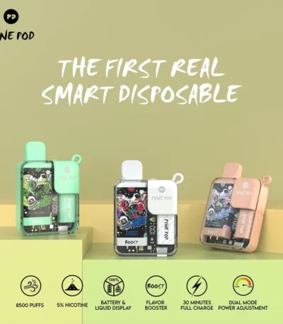 Pyne Pod Boost 8500 Puffs